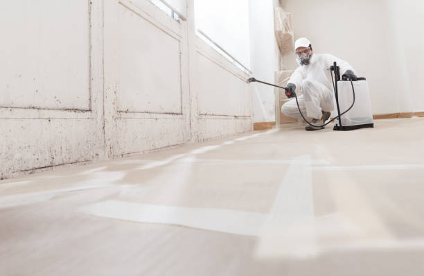 24/7 Emergency Mold Remediation experts in Luthersburg, PA